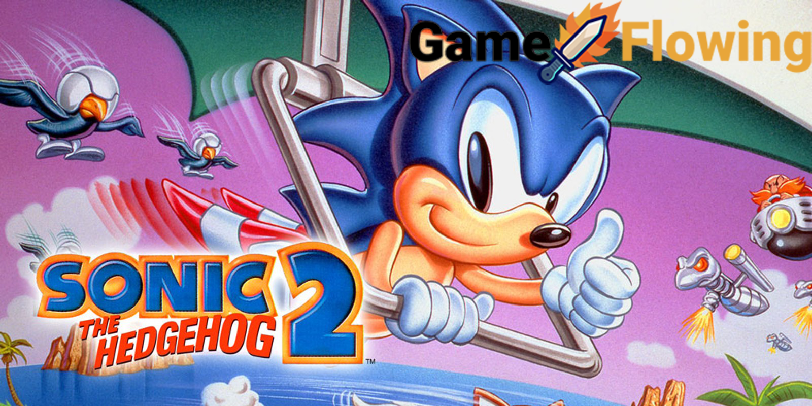 Old Sonic Hedgehog 2 Game